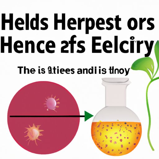 The Science behind Herpes: The Latency Period and its Implications