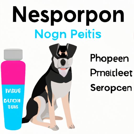 Neosporin and Your Canine Companion – A Complete Overview