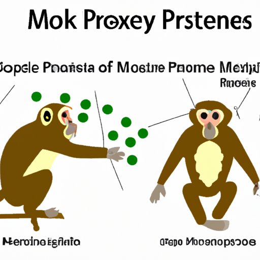 The Origin of Monkeypox: Understanding its Natural Reservoirs and Transmission