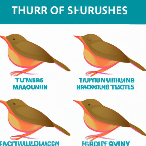 A Guide to the Symptoms and Causes of Thrush