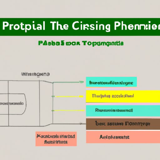 Understanding the Length of Physical Therapy School: A Comprehensive Guide