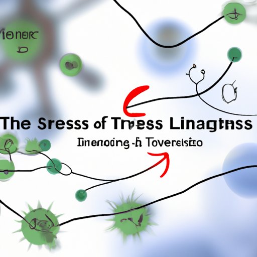 The Connection Between Stress and Immune Function: Understanding the Link