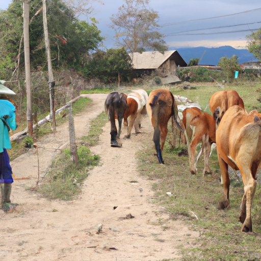 Tools of the Trade: The Best Items and Materials to Use When Breeding Villagers