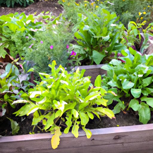 Seasonal Gardening Tips for Your Raised Bed