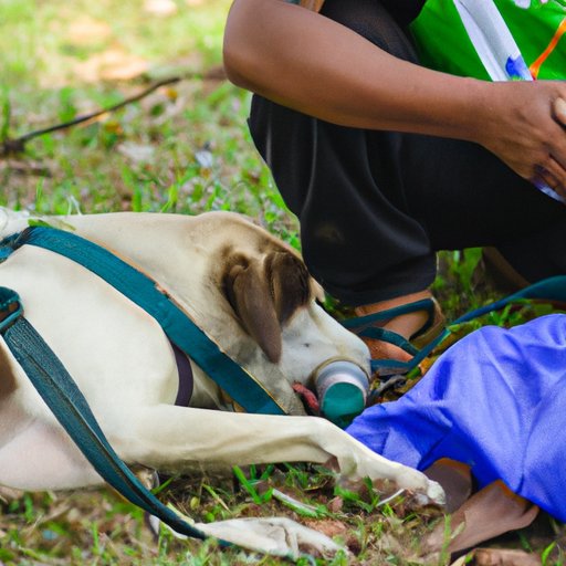 VI. The Canine Inspection Method