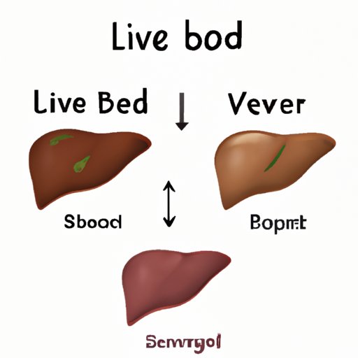  Types of Beef Liver and Their Uses 