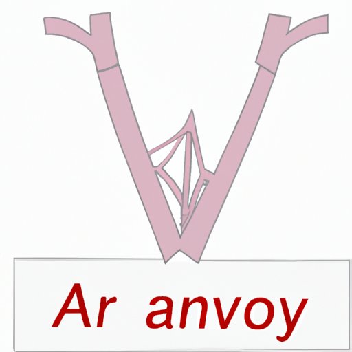 V. Anatomy of an A