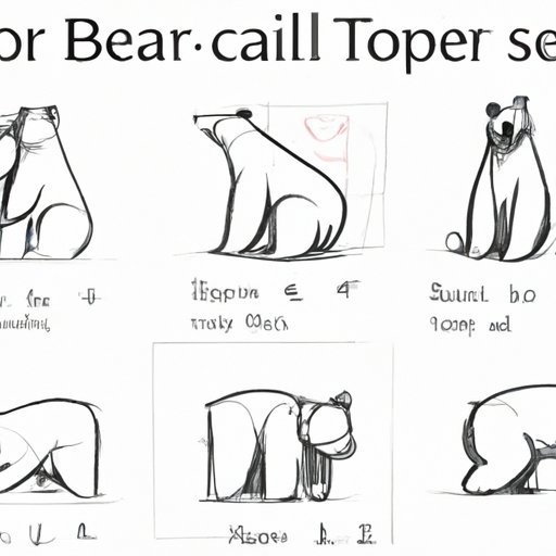 Tips on How to Sketch a Bear in Different Poses