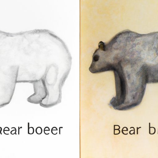 Techniques for Shading and Adding Texture to a Bear Drawing