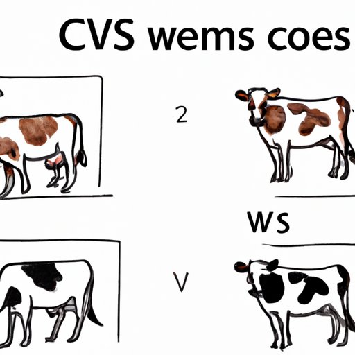 V. Techniques for Drawing Cows vs Other Animals