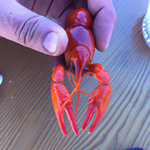 The Proper Way to Peel and Eat Crawfish