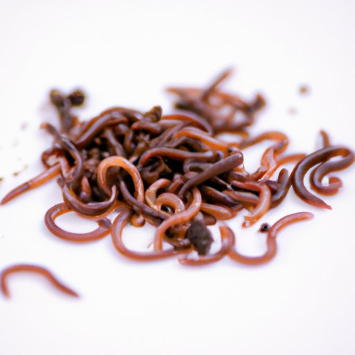 The health benefits of eating worms