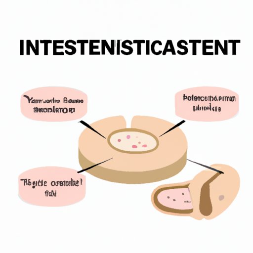 Section 1: Understanding Yeast Infections