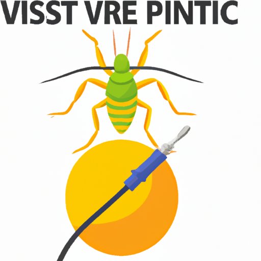 VI. Hire a Pest Control Professional