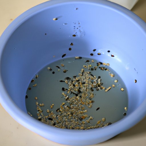 Additional Resources for Getting Rid of Drain Flies