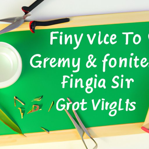 VI. Home Remedies for Getting Rid of Fungus Gnats