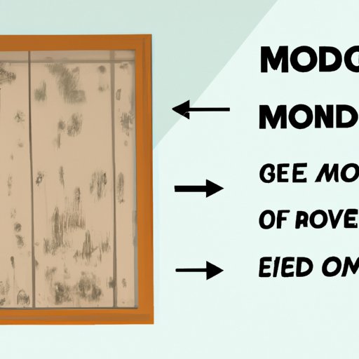 Mold be Gone: Simple yet Effective Ways to Remove and Prevent Mold