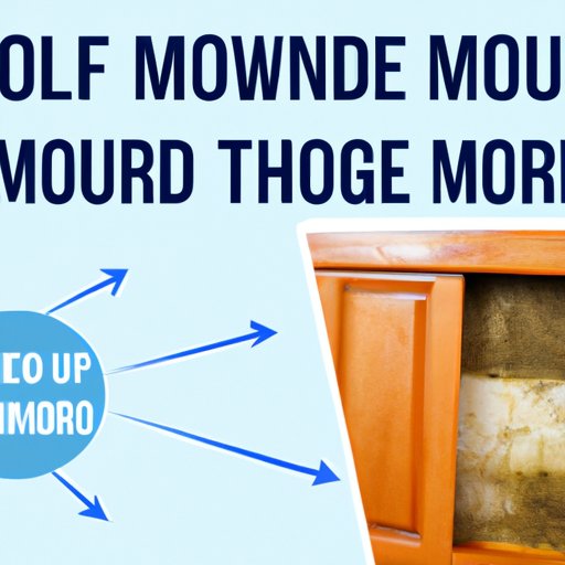 The Top 5 Natural Methods for Removing Mold from Your Home