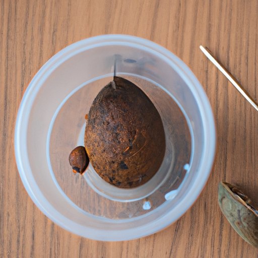 V. Common Mistakes to Avoid When Growing an Avocado Seed