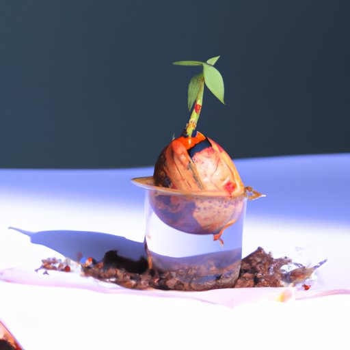 IV. The Science Behind Growing an Avocado Seed into an Avocado Tree