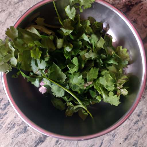 The Simplest Way to Keep Cilantro Fresh