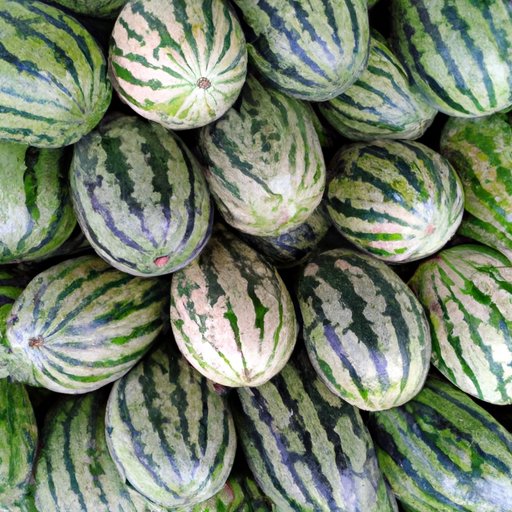 The Art of Watermelon Selection: A Guide for Beginners