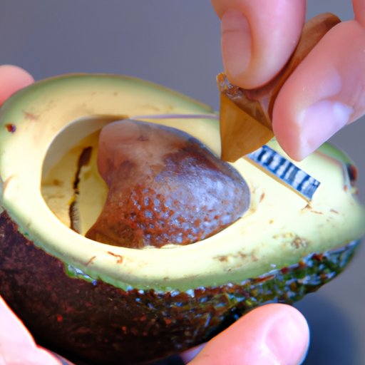 Understanding the Unique Requirements Needed for Avocado Seeds