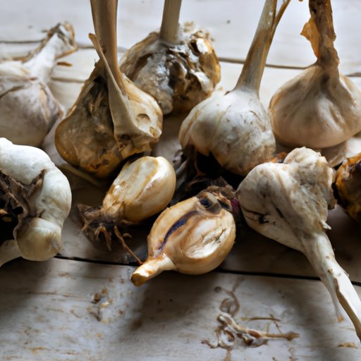 Top 5 Garlic Varieties to Plant in Your Garden and How to Care for Them