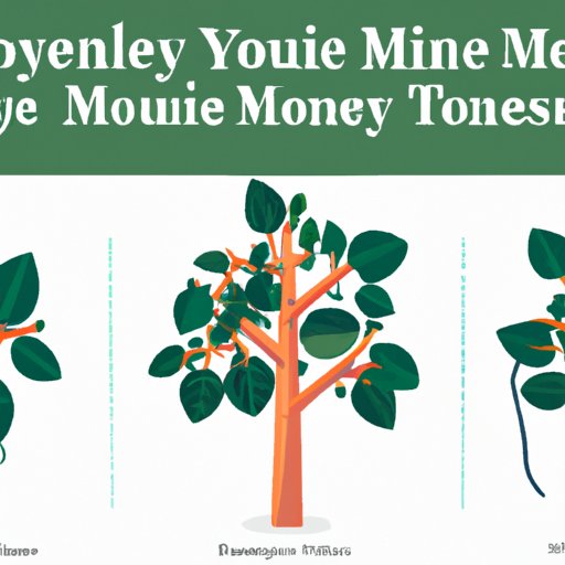 The Ultimate Guide to Pruning Your Money Tree for Better Growth