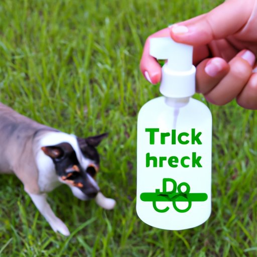 Natural Methods for Removing Ticks from Your Pet