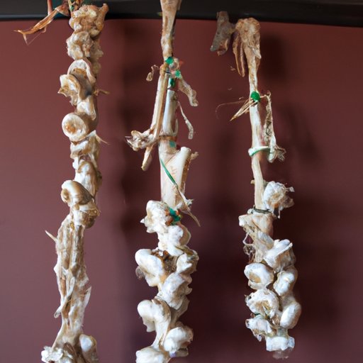 Traditional Garlic Storage: How to Braid and Hang Garlic