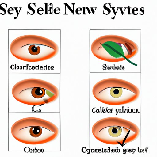 II. Natural remedies for treating styes: A comprehensive guide