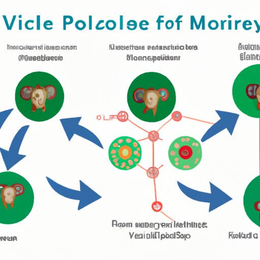 Understanding the lifecycle of the monkeypox virus and how it spreads