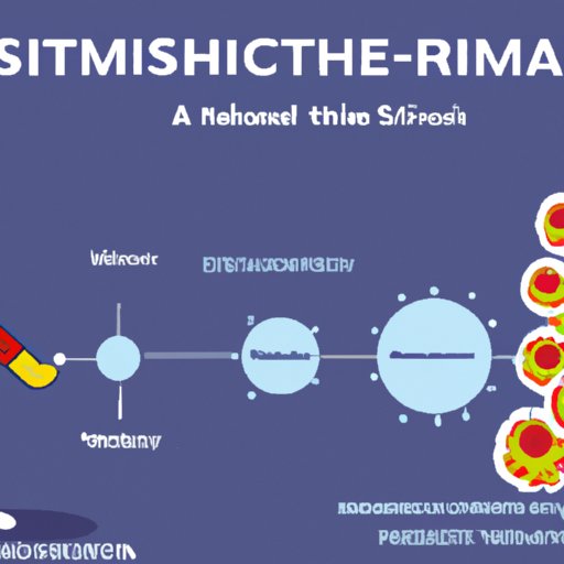 Asthma and the Immune System: Understanding the Fine Line Between Protection and Inflammation