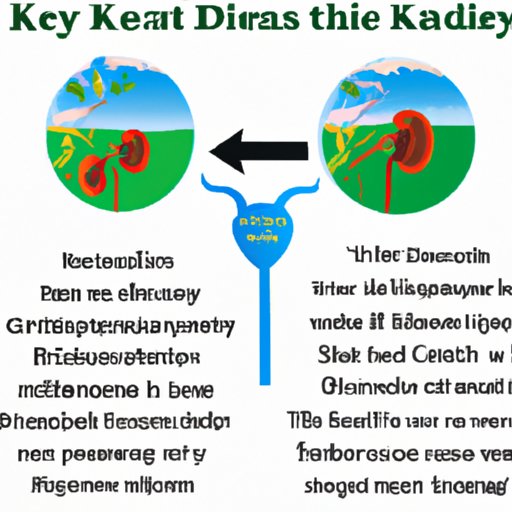 Delving into the Impact of Environmental Factors on Kidney Disease: A Fascinating Journey