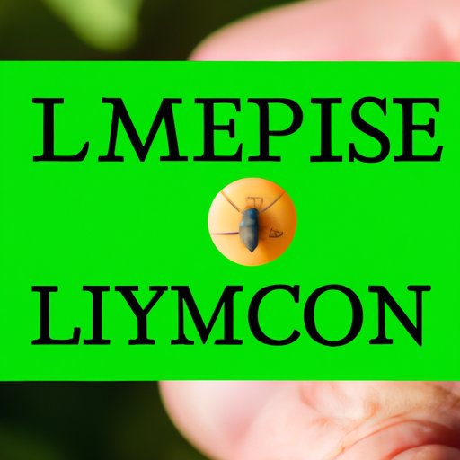 III. The Importance of Early Detection: Lyme Disease Prevention and Awareness