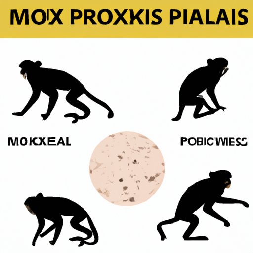 III. Investigative article exploring recent outbreaks of monkeypox